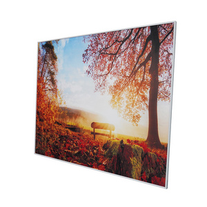 120 by 100CM 110V 220V  1200W Carbon Crystal Wall Mounted Electric Heater Infrared Heating panel with CE