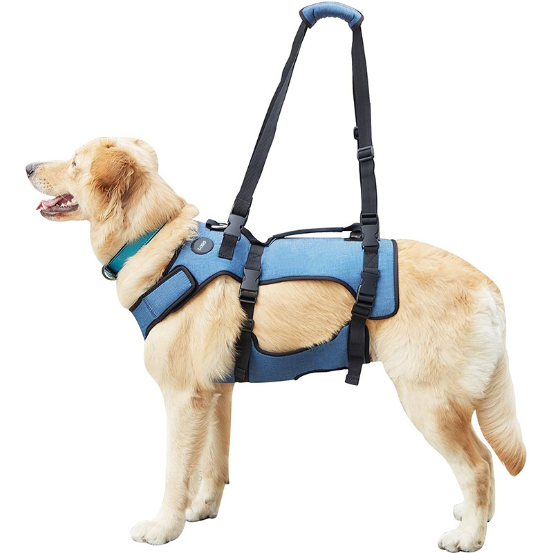 Disability Injury Elderly Dogs Stairway Assist Carrier Pet Lift Harness and Medical Pet Harness for Leg Weakness Aid