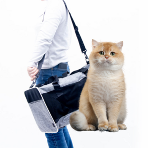 Custom Multi-purpose Portable Outdoor Foldable Breathable Pet Cat Dog Travel Knapsack Pet Carry Bag