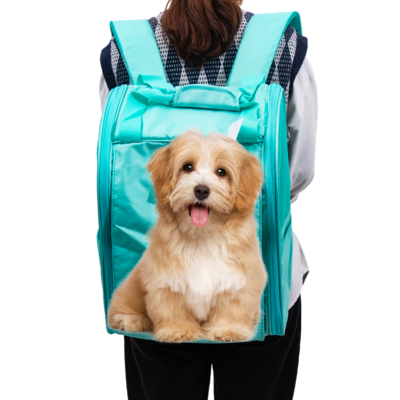 Dropship Wholesale Adjustable Outdoor Oxford Fabric Sport Trainer Travel Puppy Dog Sack Pet Carrier Backpack