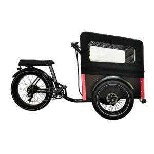 Vacation 26" Alloy Frame 500w Heavy Electric Cargo Bike Dutch Tricycle With Front Basket