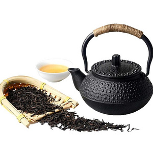 2020 Hot Selling best Cast Iron Teapot 300ml Tea Kettle with infuser japanese cast iron teapots