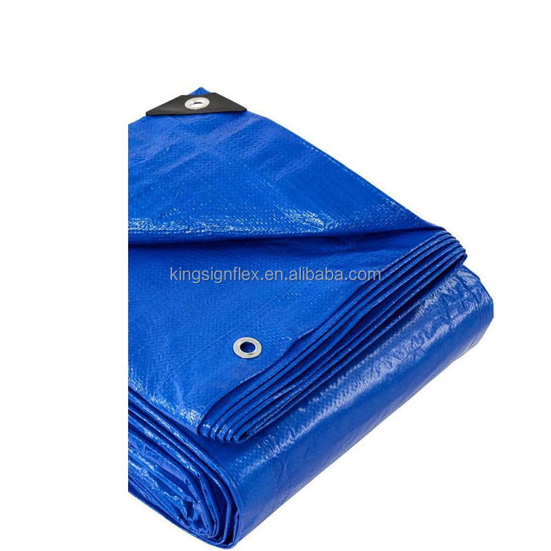 Heavy Duty Waterproof PVC Tarpaulin High Durability Construction, Rain Shelter, Outdoor Cover, Camping Use