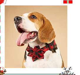 Factory wholesale logo custom various holiday fashion pattern breakaway buckle bow tie christmas dog collar