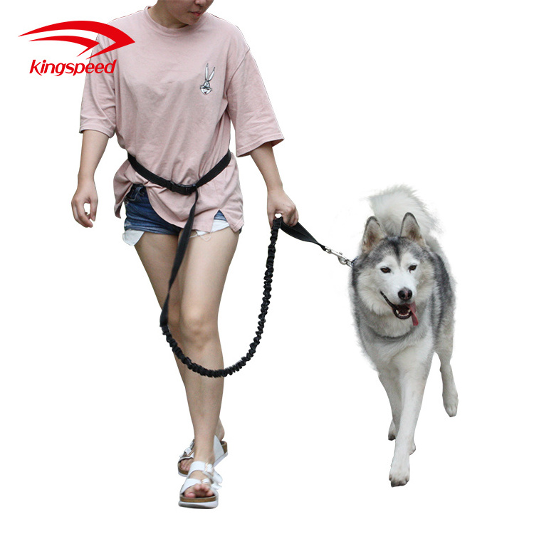 Custom dog leash no handle nylon dog Leash Hands Free dog leash running belt