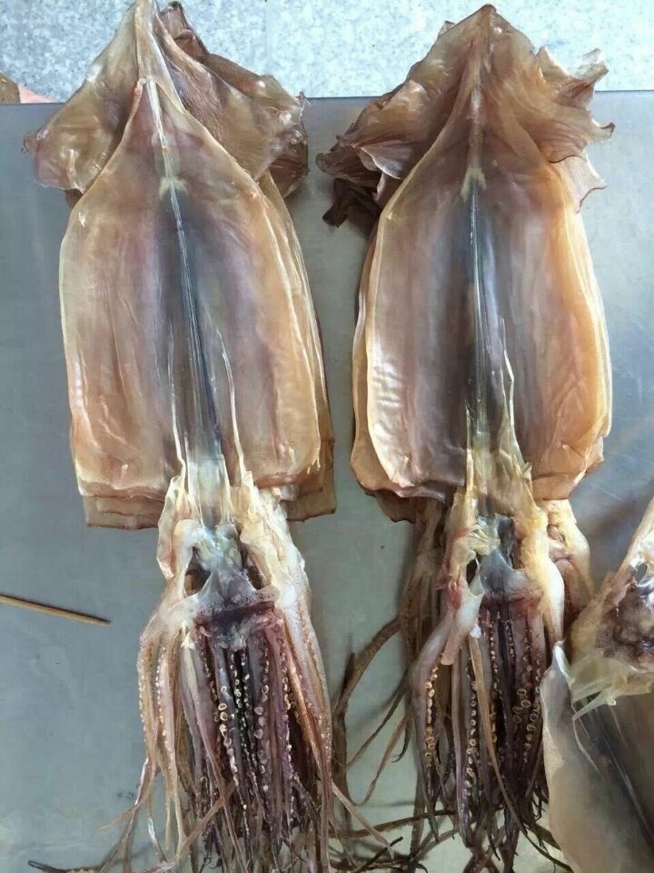 HIGH STANDARD ROASTED SHREDDED DRIED SQUID WHOLESALE with Natural Best Qualityand Cheap Low Price Dried Squid