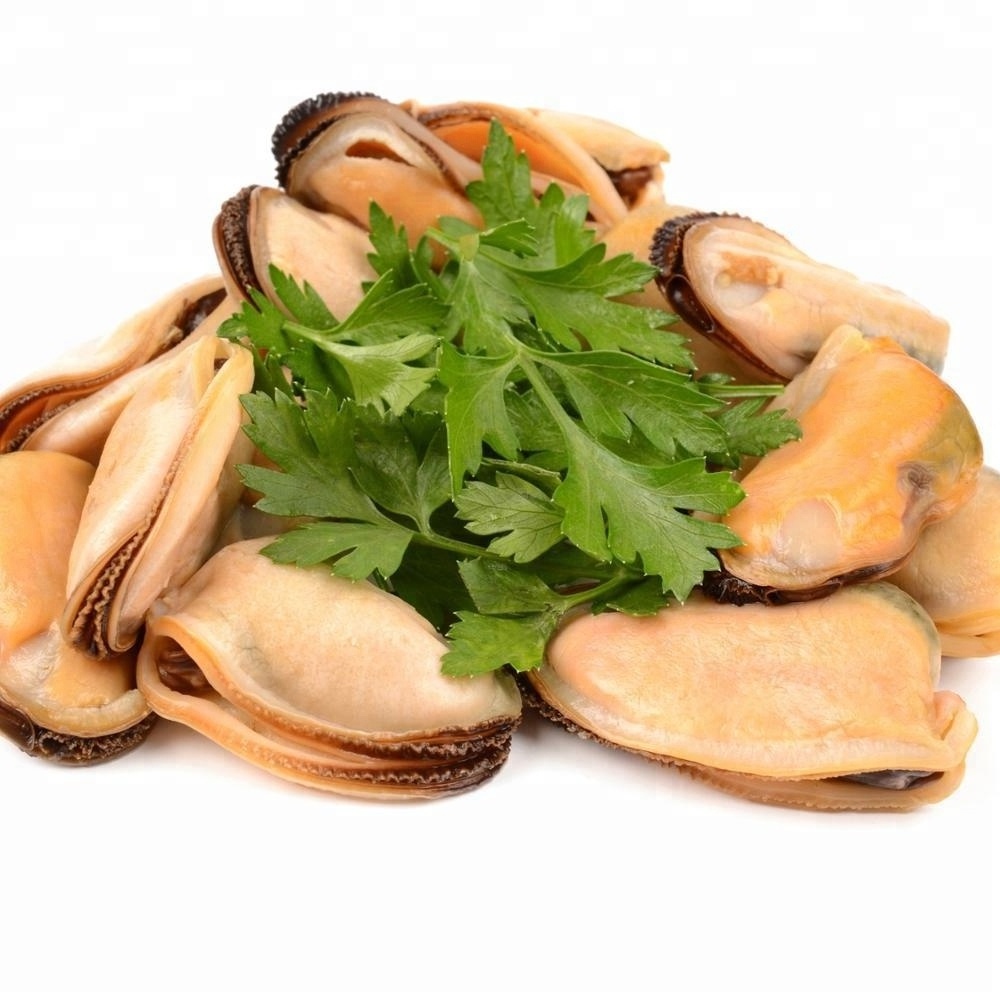 Blue Mussel Shells Frozen Blue Mussel Meat Frozen Mussels Meat With Half Shell