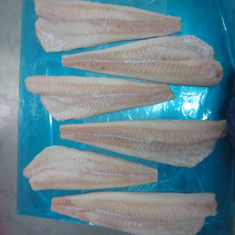 HIGH QUALITY FROZEN COD FILLET