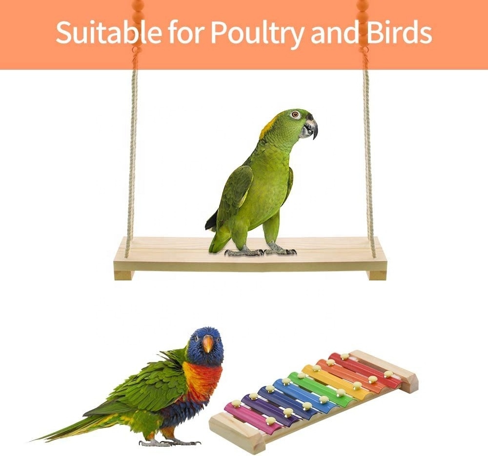 Kingtale Pet Supplier 2 Pack Swing and Chicken Toy Xylophone Set for Bird Stress Relief Bird Toys for Parrots Carton Package