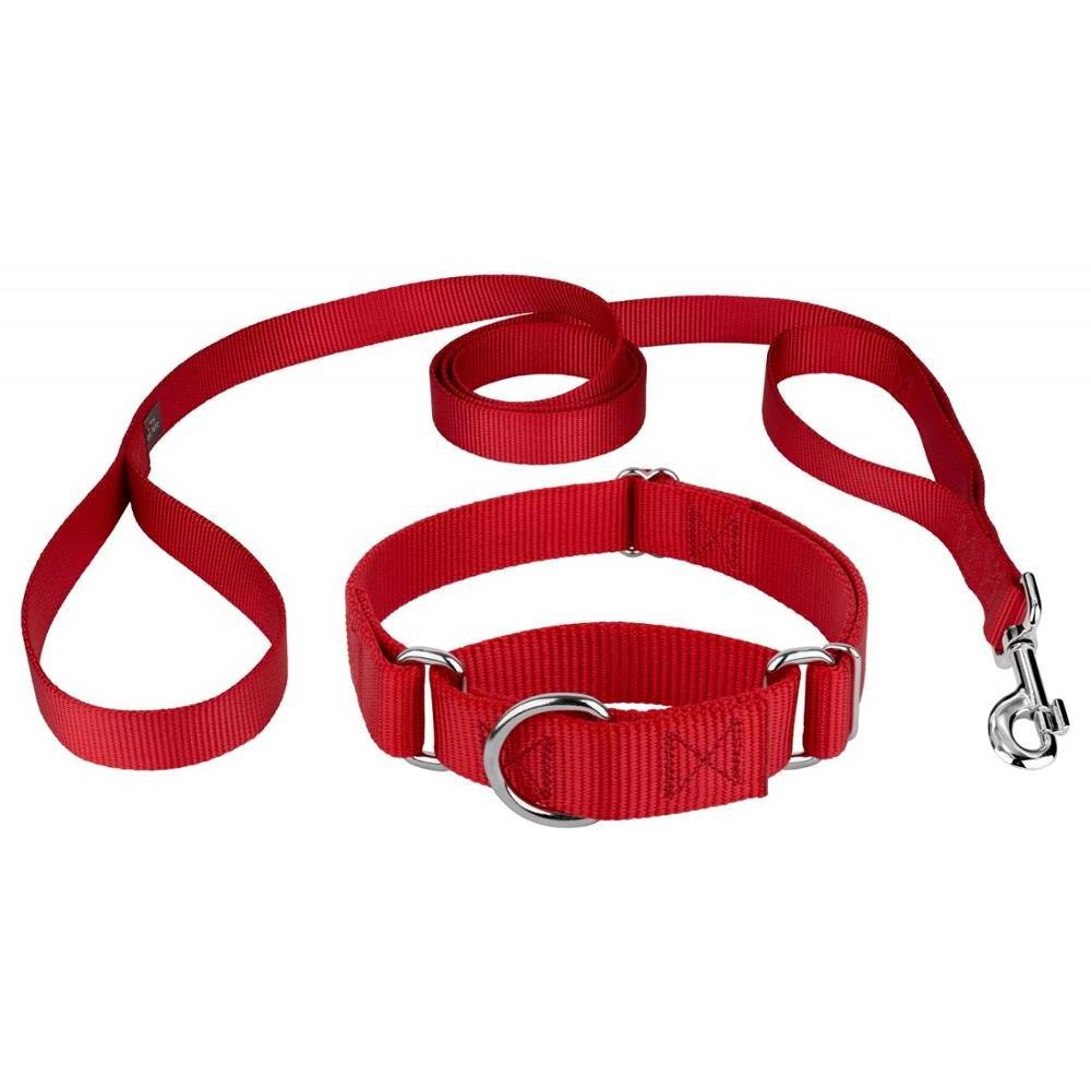 Kingtale dog collar manufacturer pet collars & leashes dog collars and leash dog accessories wholesale for pets