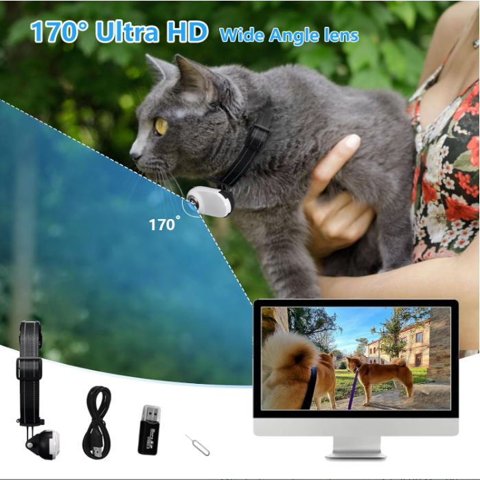 Kingtale Pet Suppliers Dog Accessories Mini Body Cam Indoor Outdoor Wireless Cat Collar Camera