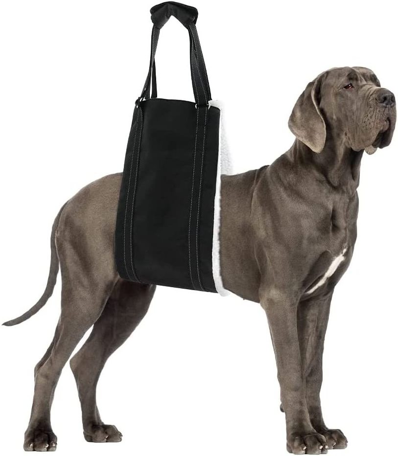 Kingtale Portable Dog Sling for Back Legs, Hip Support Harness to Help Lift Rear