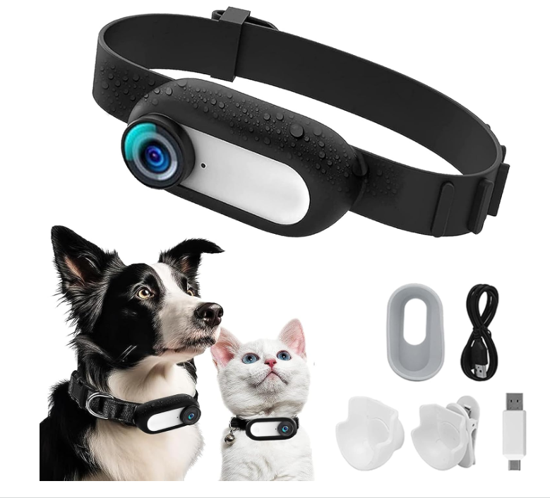 Kingtale Pet Suppliers Dog Accessories Mini Body Cam Indoor Outdoor Wireless Cat Collar Camera