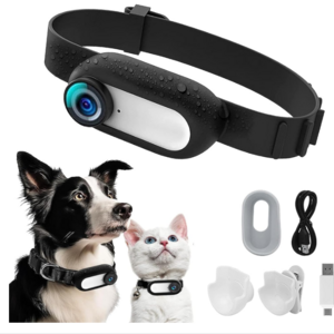 Kingtale Pet Suppliers Dog Accessories Mini Body Cam Indoor Outdoor Wireless Cat Collar Camera