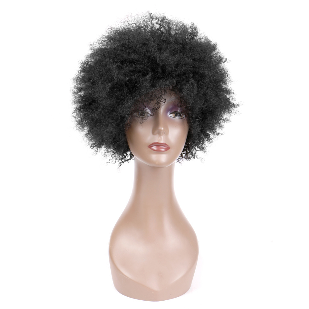 FH Afro Kinky Curly Human Hair Wigs 10 Inch Virgin Brazilian Hair Wig for Women