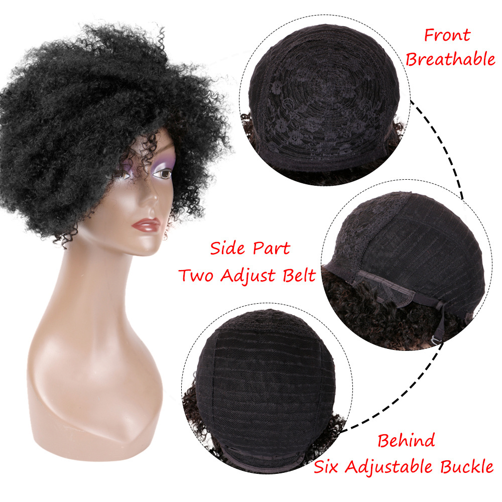 FH Afro Kinky Curly Human Hair Wigs 10 Inch Virgin Brazilian Hair Wig for Women