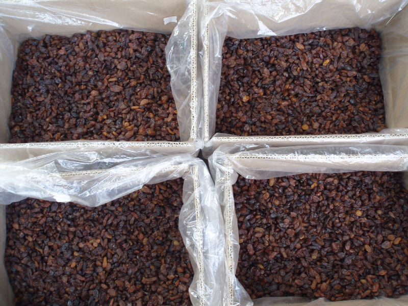 xinjiang wholesale low price dried red raisin currant