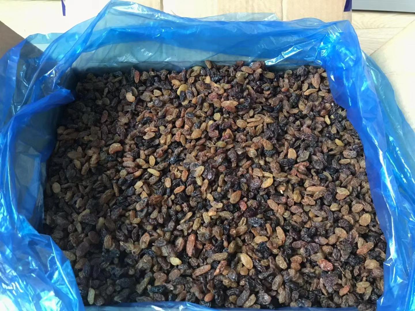 Xinjiang factory price raisin red/green/golden /black raisin baked products sultana raisins