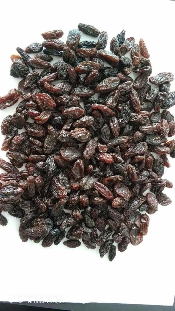 xinjiang wholesale low price dried red raisin currant