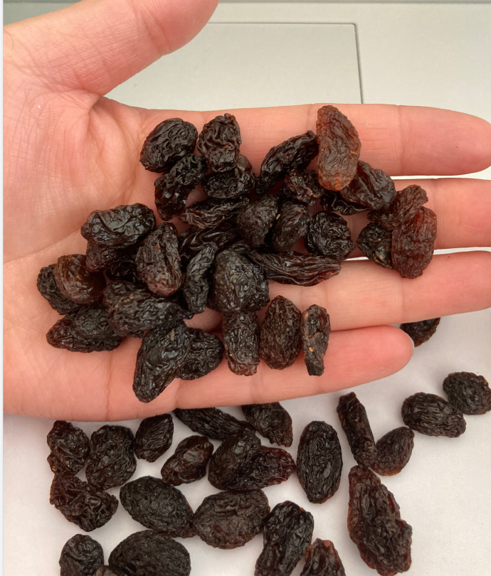 Chinese new crop dried  black raisin sultana currant dry grapes