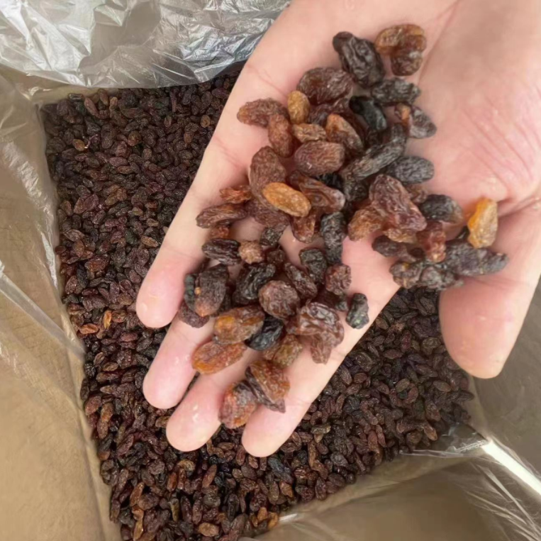 whole sale factory price Xinjiang natural drying dried raisin currant raisins sultana