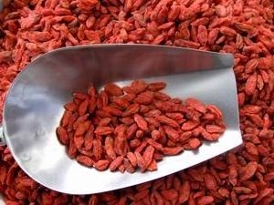 hotsale high quality dried goji berry chinese red wolfberry wild dried fruit berries