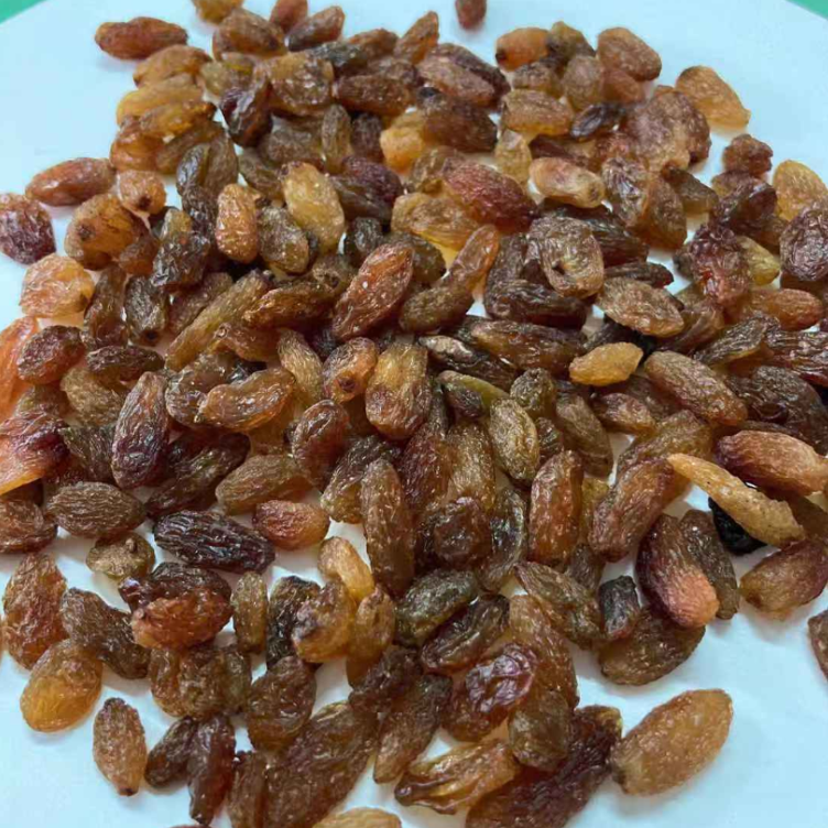 healthy new crop cured seedless dried raisin dry fruit raisin price dry fruits and nuts