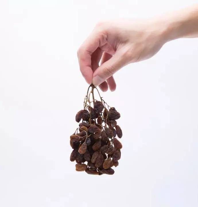 sultana currant raisin dried grape dried raisin