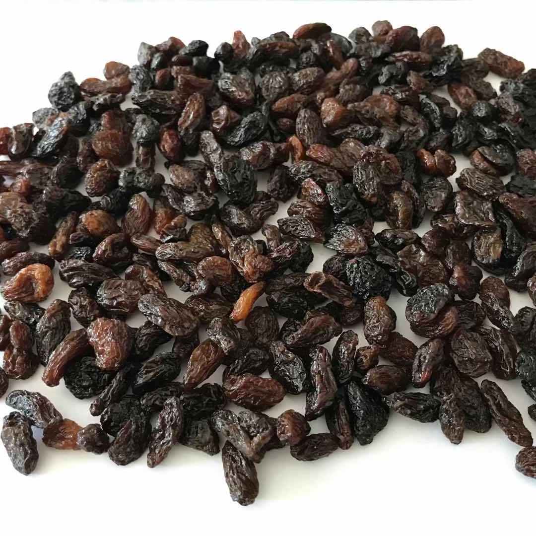 Chinese new crop dried  black raisin sultana currant dry grapes