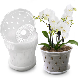 WY 2022 Hot Sale Transparent Nursery Butterfly Clear Plant Flower Planter Hard Plastic Orchid Pot With Holes