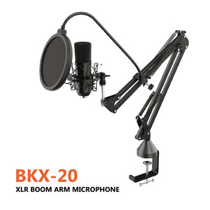 OEM Studio Equipment Recording Musical Professional Music Production Black Metal Wired KTV Room hanging microphone