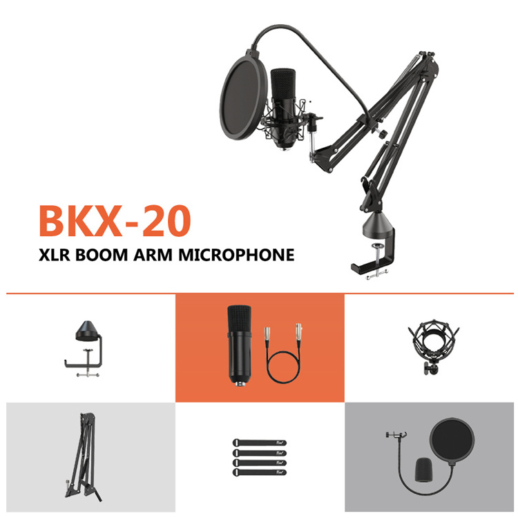 OEM Studio Equipment Recording Musical Professional Music Production Black Metal Wired KTV Room hanging microphone