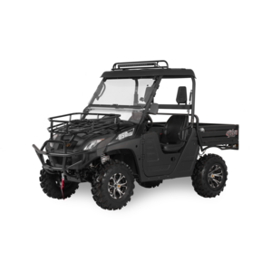 2023 factory price cheap 2seat/4seat 4x4 800cc UTV dune buggy