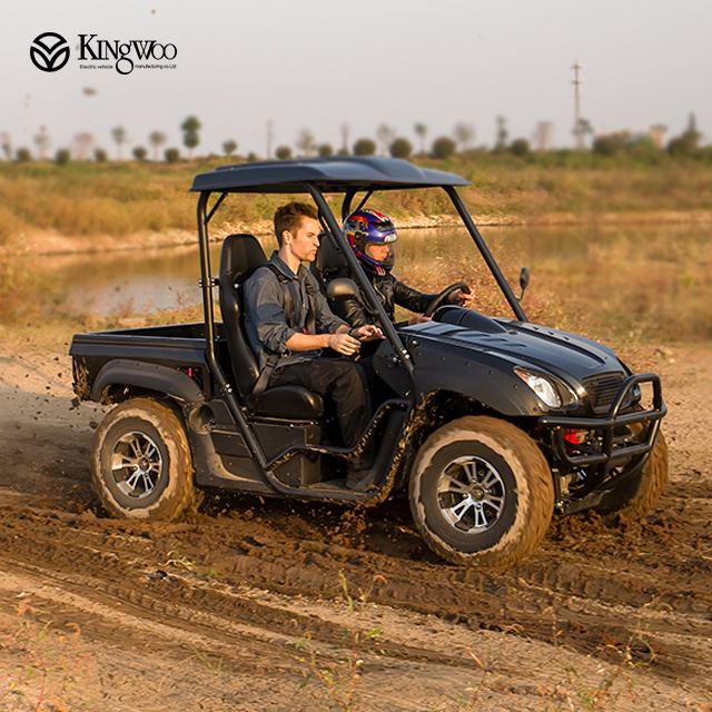 2022  street legal 4*4 electric utv with EEC/COC