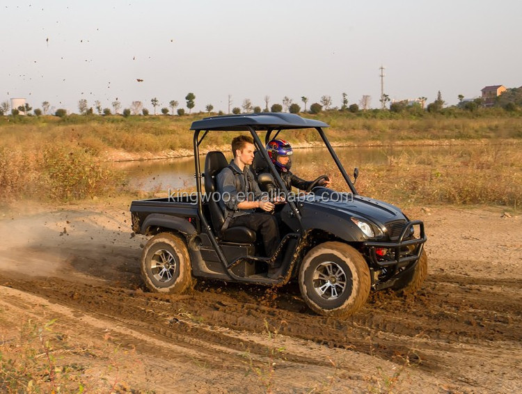 New style adult electric utv