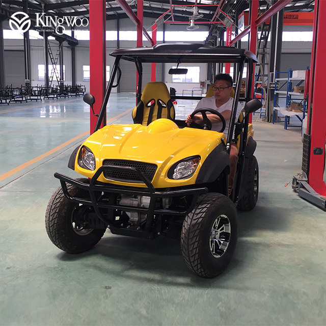 2019 factory price adult electric UTV dune buggy 5000W