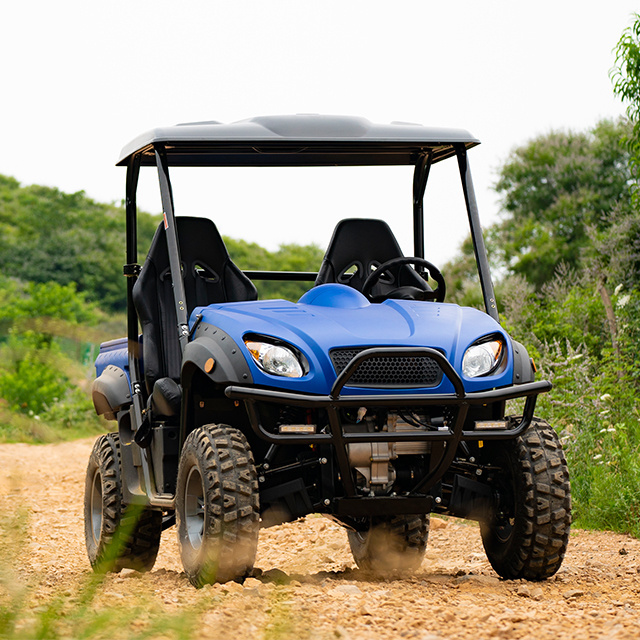 cheap high quality adult farm UTV 8000w 4wd electric UTV