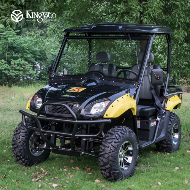 electric dune buggy utv with EEC/5kw dune buggy