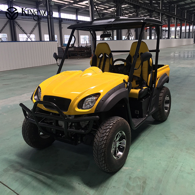 2019 factory price adult electric UTV dune buggy 5000W