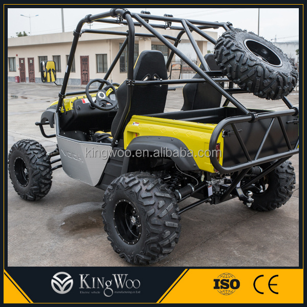 Hot Sale 2 Seater / 4 Seater UTV Buggy