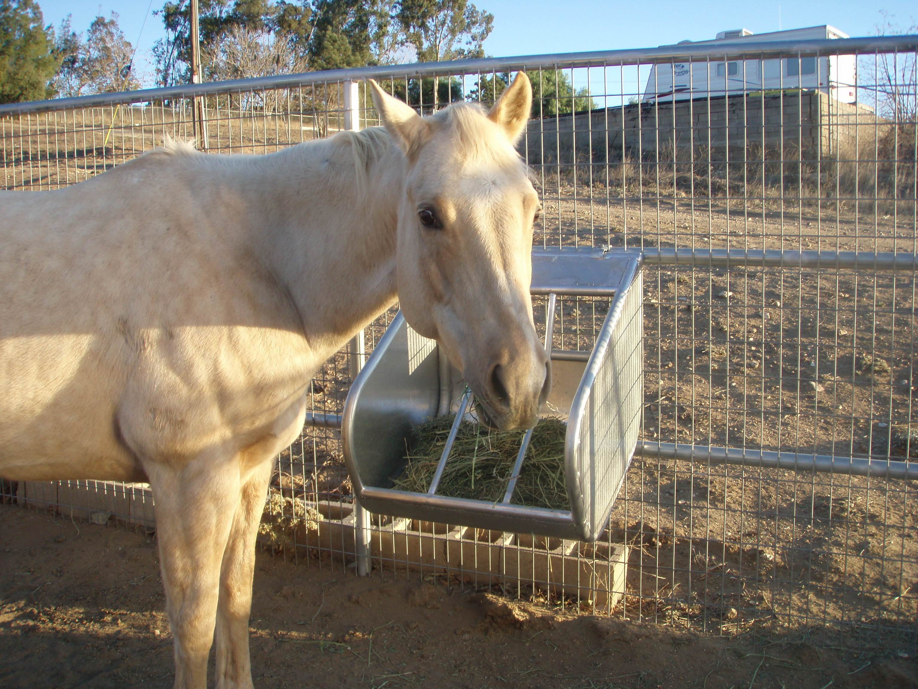 Factory supplied hot dip galvanized Livestock animal hay feeder horse hay feeder