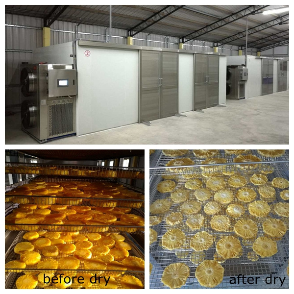 Industrial Fruit Vegetable Meat Dryer Easy Operate Ginger Drying Machine Hot Sale Food Dehydrator