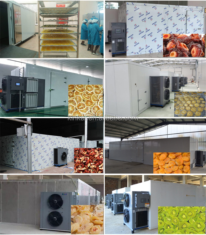 Fruit Production Dryer/ Food Heat Pump / Dehydrator For Persimmon &Vegetable/commercial use/large capacity