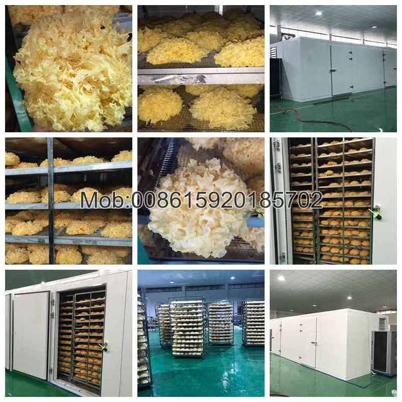 industrial drying chamber for dehydrating fruits vegetables