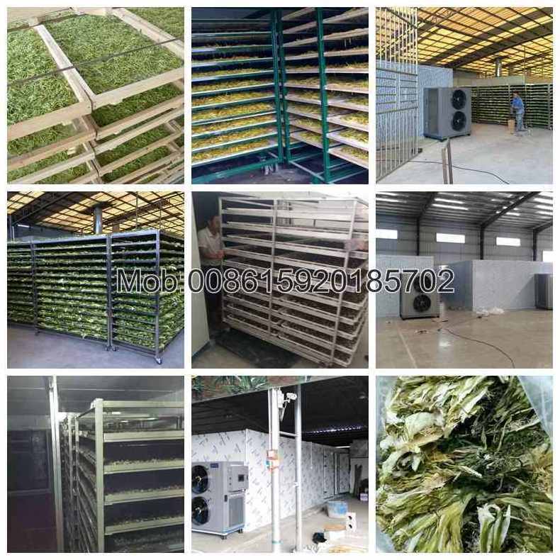 industrial drying chamber for dehydrating fruits vegetables