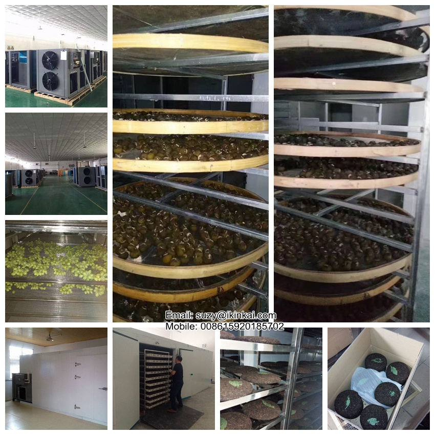 industrial drying chamber for dehydrating fruits vegetables