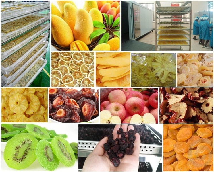 widely used industrial fruit drying machine food dehydrator fish dryer machine / dehydrator machine industrial