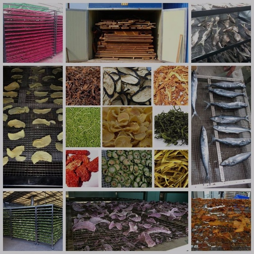 widely used industrial fruit drying machine food dehydrator fish dryer machine / dehydrator machine industrial