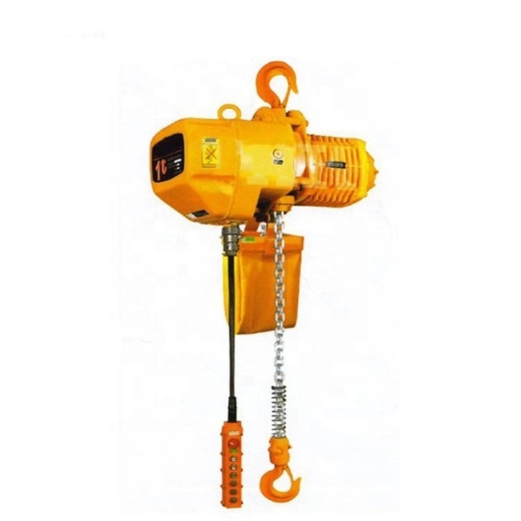 Hot Sale Light 100kg 500kg Electric Chain Kino Hoist For Sale