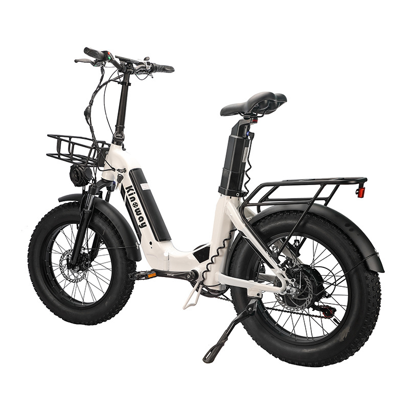 OEM free sample enduro ebike hybrid cargo bicycle 750W 48V 26AH 100km 20inch fat tire electric bike with dual battery